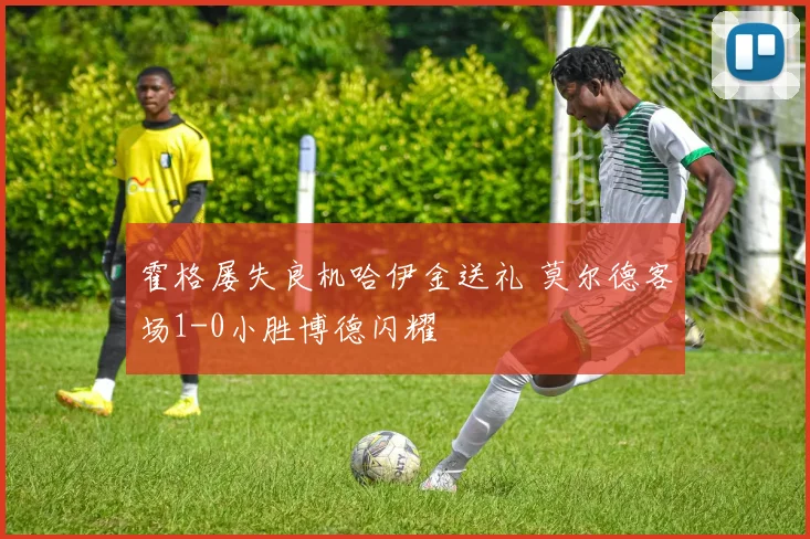 霍格屡失良机哈伊金送礼 莫尔德客场1-0小胜博德闪耀